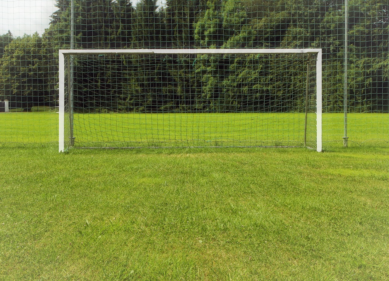 gate, soccer, lawn